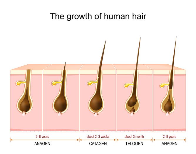 Top 5 hair growth serum for luscious hair!
