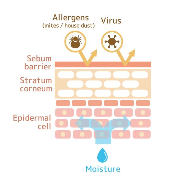 Overwashing Can Worsen Acne—Here’s How to Keep Skin Clear, Hydrated, and Healthy Instead