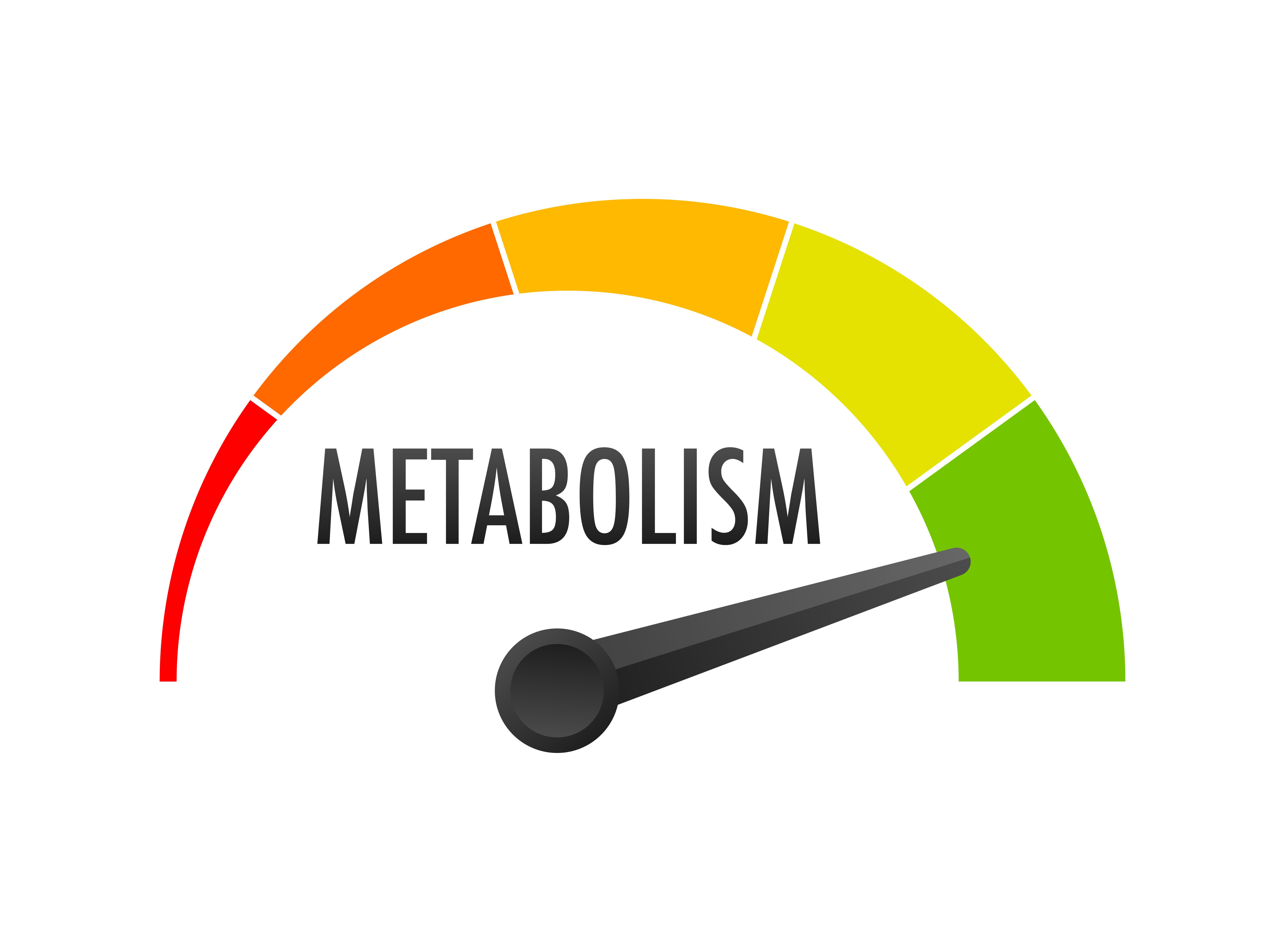 /uploads/creatine_for_weight_loss_1_476e315f3b.jpg