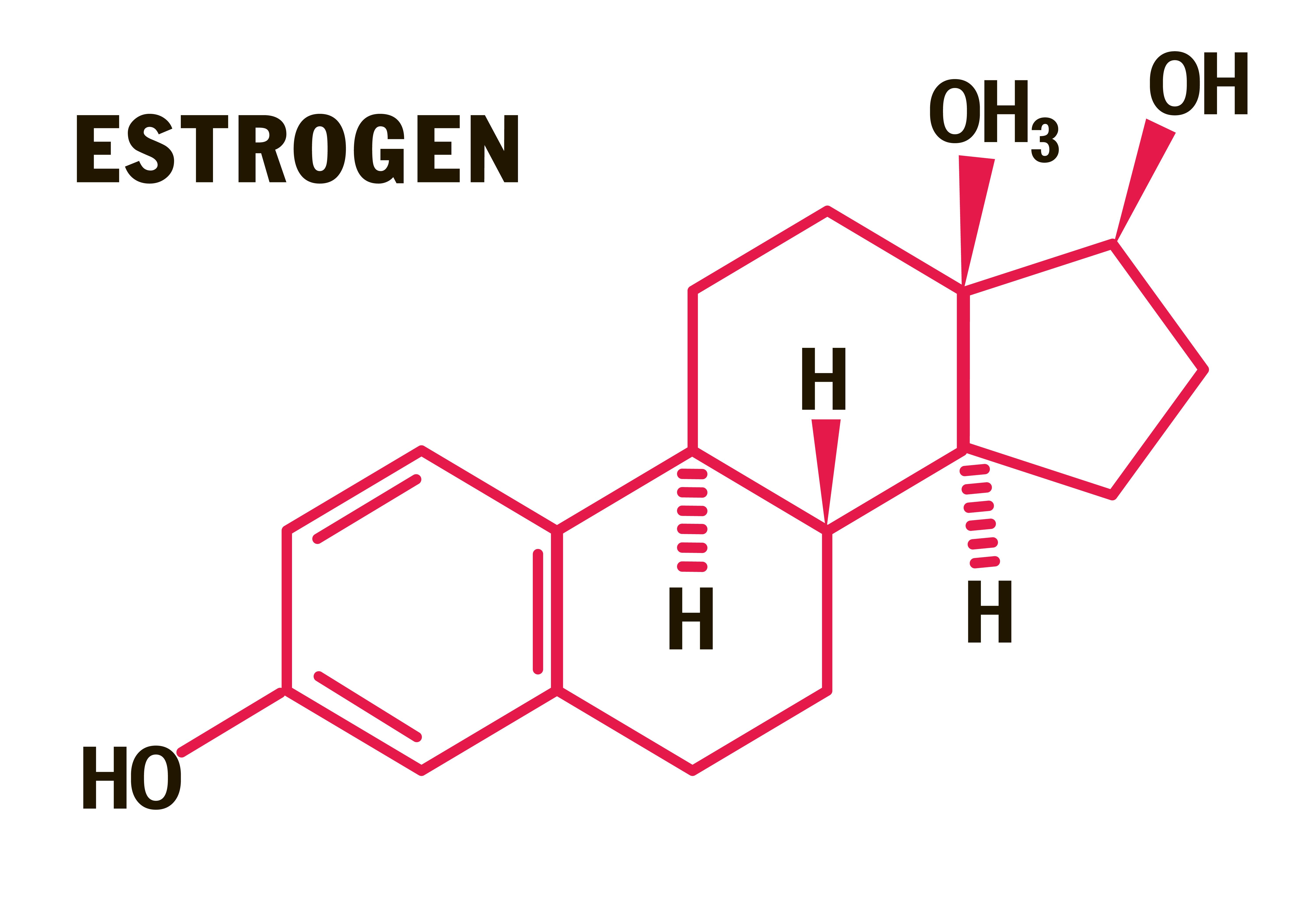 9 Real Ways Estrogen Increases Breast Size, Shape, and Fullness—And What Can Boost Your Results