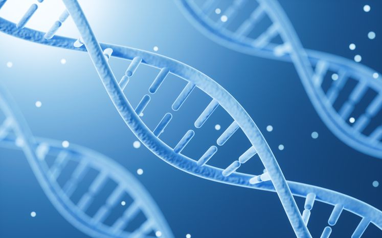 Genetic Hair Loss Explained: 10 Myths About Hair Thinning and Pattern Baldness You Should Stop Believing