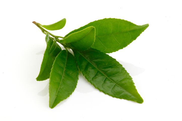 Green Tea Weight Loss & Health Benefits: A Qualitea Review