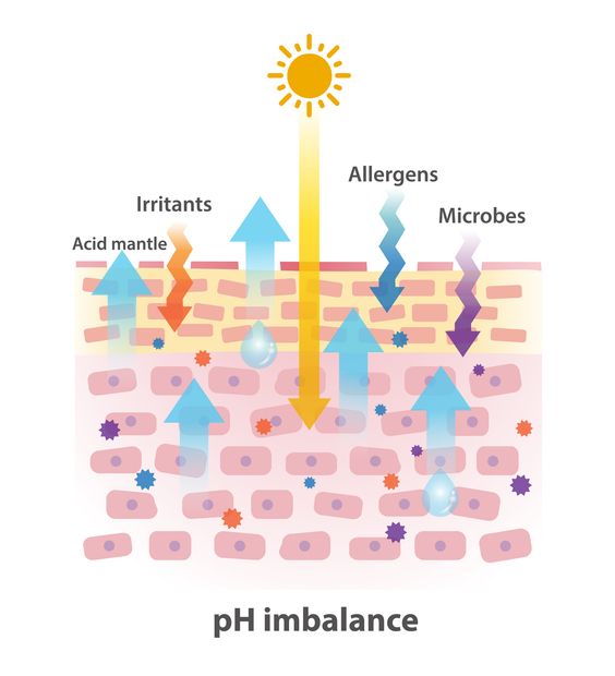Struggling With Breakouts, Redness, or Dry Patches? Your Skin’s pH Balance Might Be the Real Cause