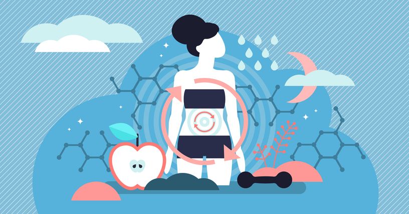Common Myths About Weight Loss Debunked